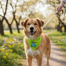 Spring Time Bandana (M) - Special Offer