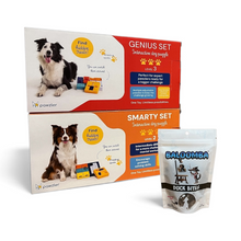 Sniff & Treat Bundle