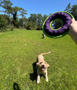 Heavy Duty Frisbee