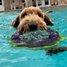 Heavy Duty Frisbee