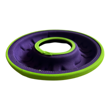Heavy Duty Frisbee