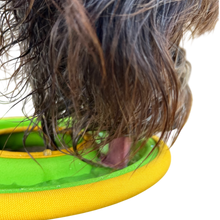 Heavy Duty Frisbee