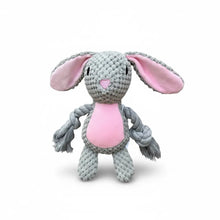 Cuddle Buddies- Plush Dog Toy with Rope Arms & Squeaker