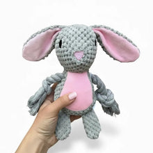 Cuddle Buddies- Plush Dog Toy with Rope Arms & Squeaker