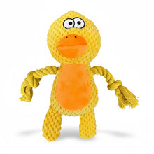 Cuddle Buddies- Plush Dog Toy with Rope Arms & Squeaker
